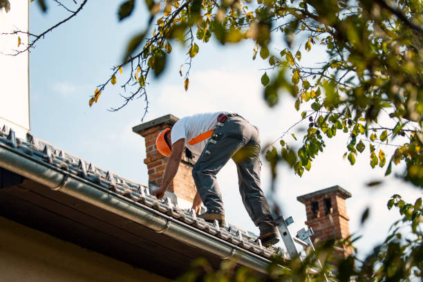 Best Roof Gutter Cleaning  in Lake Tansi, TN